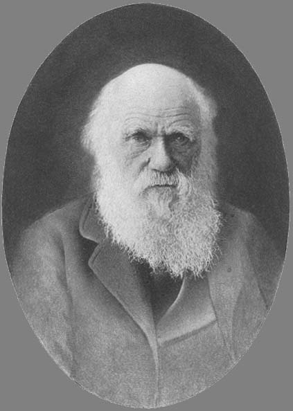 picture of Charles Darwin